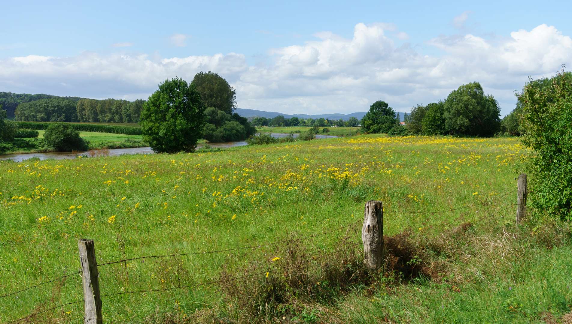 Klik hier voor de grotere foto