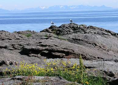 Uitzicht vanaf Nesland op de Noorse kust