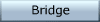 Bridge, o.a. ons biedsysteem