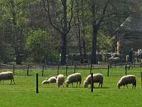 Fietstocht door het Vechtdal