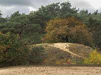 Veluwe