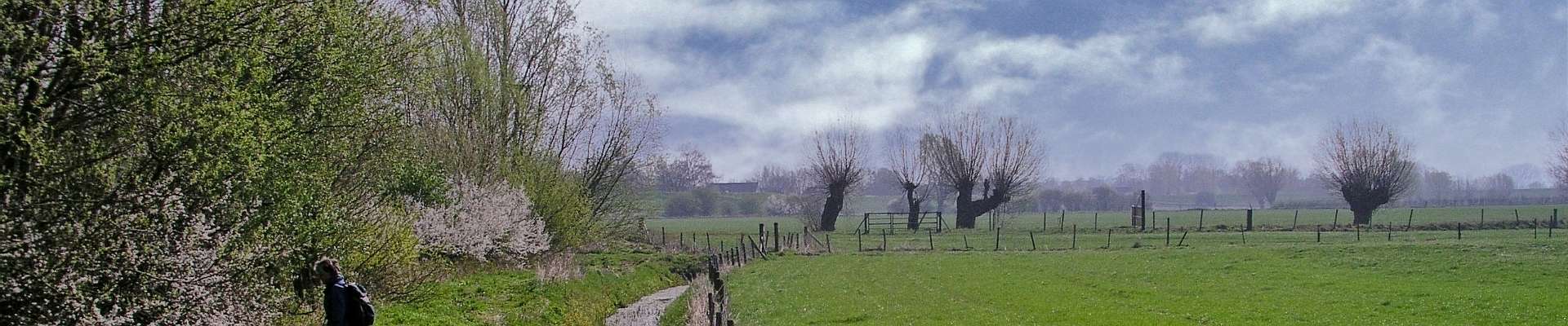 Klik om de knoppen te tonen of te verbergen