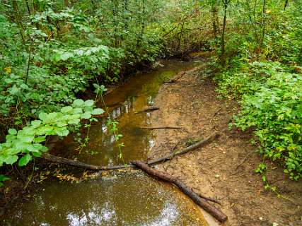 De Ratumsebeek in Dottinkrade