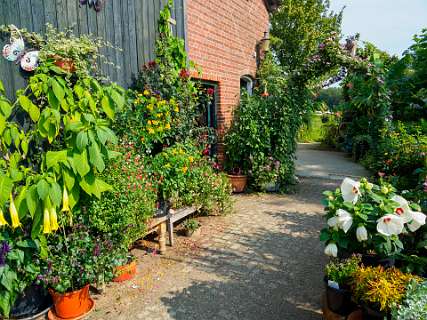 Camping Lutje Kossink