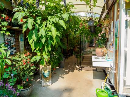 Camping Lutje Kossink