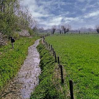 Gelderse Poort in Rijnstrangen