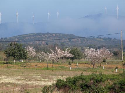 Spaanse windmolens in de mist