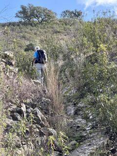 Hier was het pad in 2026. overwoekerd