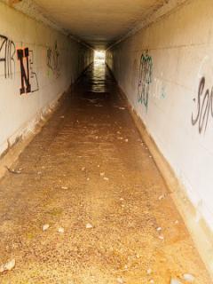 Leuke tunnel voor de wandelgroep, maar we moeten het spoor nog zoeken.