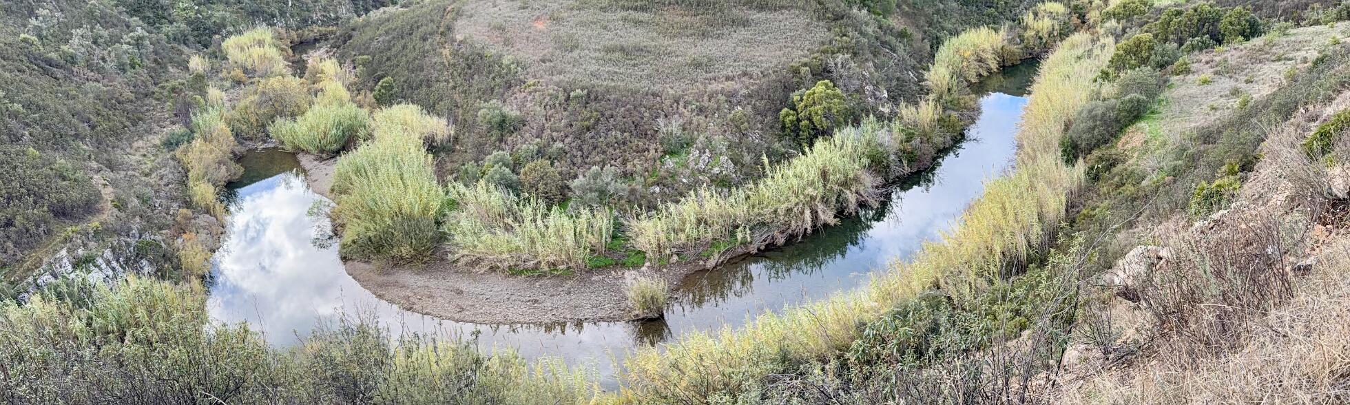 Klik om de knoppen te tonen of te verbergen
