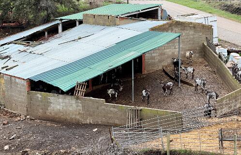 Geitenstal in Cortelha