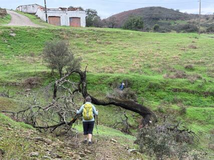 Hier is het pad niet te zien.