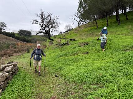 Nu komen we bij een zichtbaar pad.