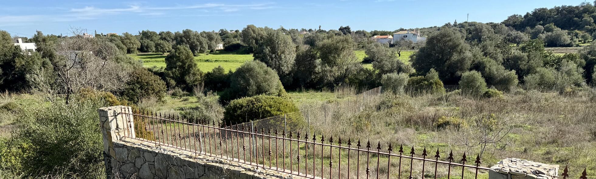 Klik om de knoppen te tonen of te verbergen