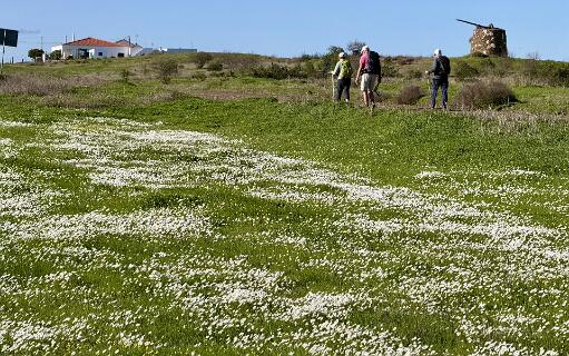 We naderen het eindpunt in Azinhal