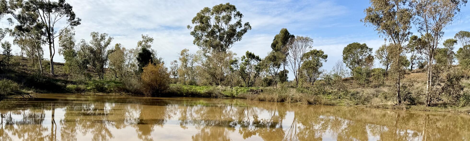 Klik om de knoppen te tonen of te verbergen