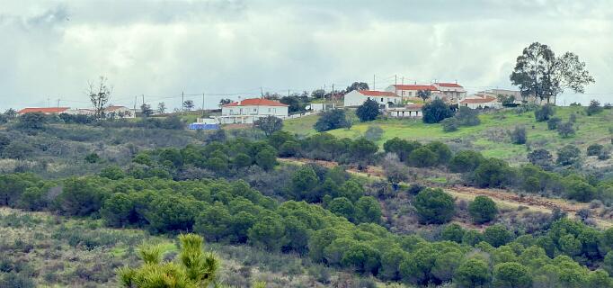 Azinhal of Sentinella?