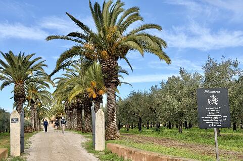 Eerst bezzoeken we nog even de olijfgaard  Monterosa .