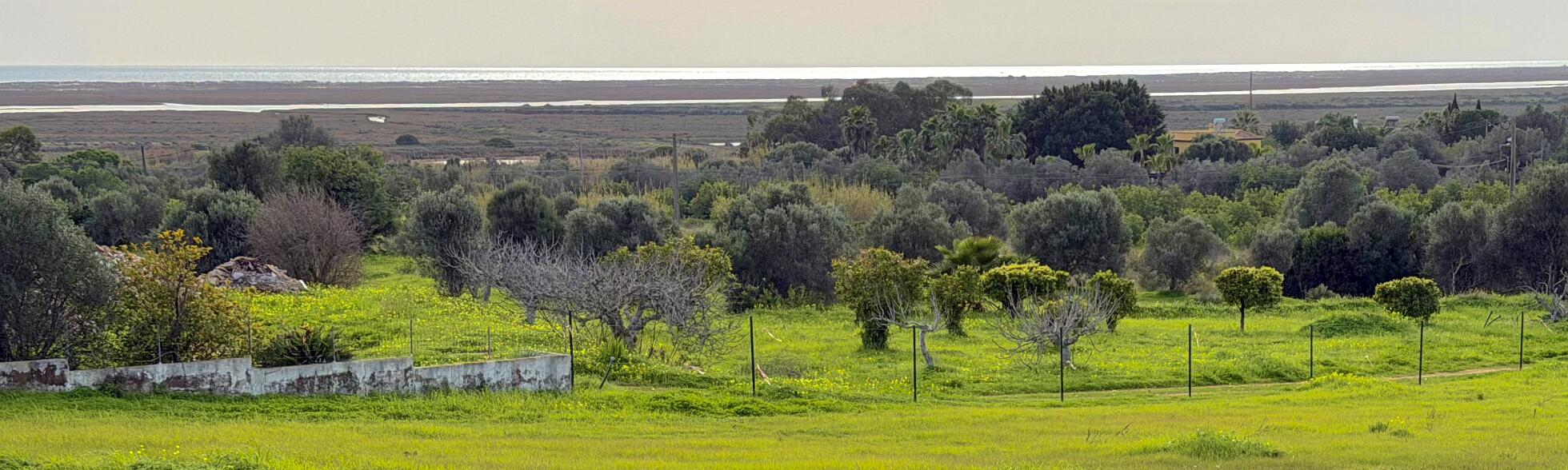 Klik om de knoppen te tonen of te verbergen