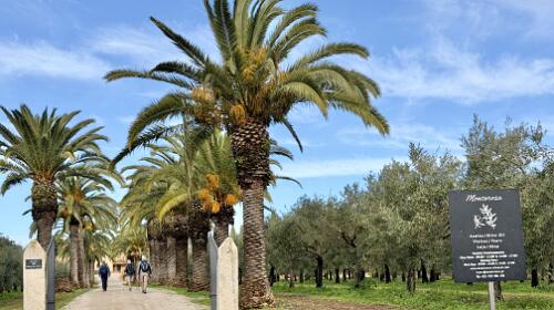 Moncarapacho Noord-Oost