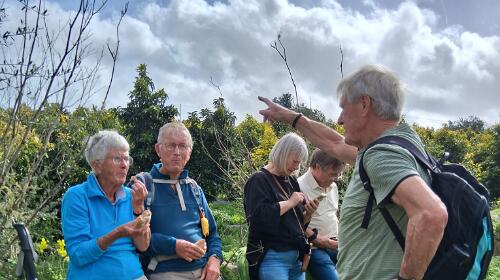 Porta Nova - Conceicao langs de zuidkant