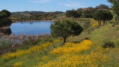 Barão de São João