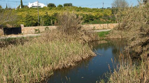 Mato do Santo Espírito