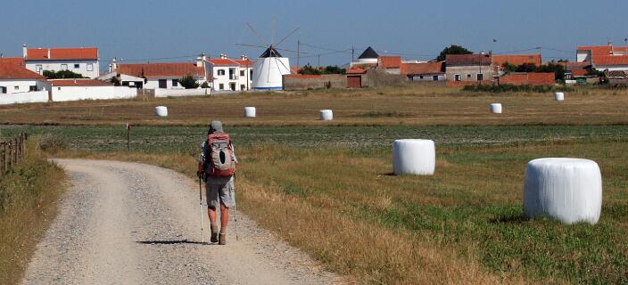 Monte Nova da Longueira