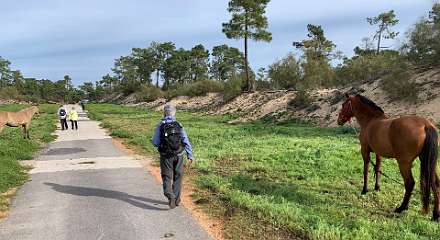 371: IMG_0149<br>  2018-12-24