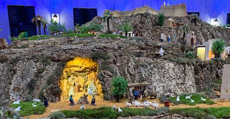 372: IMG_0155<br>  2018-12-24