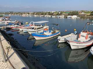 378: IMG_0167<br>  2018-12-27