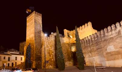 26: IMG_0171<br>  2018-12-30