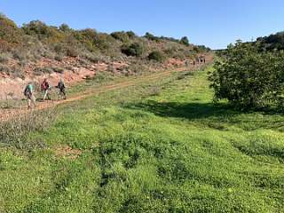 34: IMG_0198<br>  2019-01-04