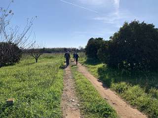 36: IMG_0200<br>  2019-01-04