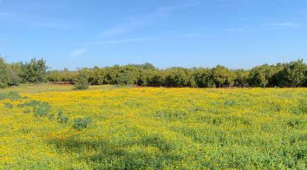 37: IMG_0202<br>  2019-01-04