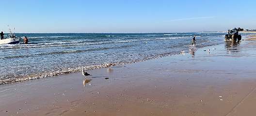 39: IMG_0205<br>  2019-01-05