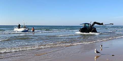 40: IMG_0206<br>  2019-01-05