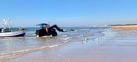 41: IMG_0207<br>  2019-01-05