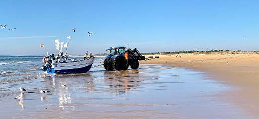 42: IMG_0208<br>  2019-01-05