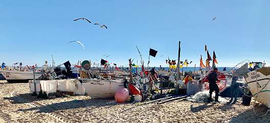 44: IMG_0210<br>  2019-01-05