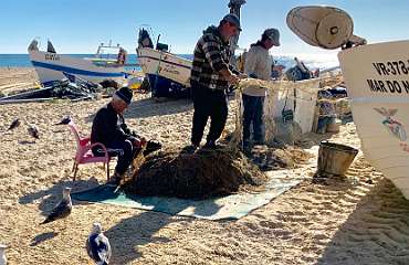 46: IMG_0219<br>  2019-01-05