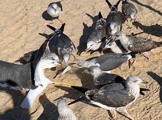 47: IMG_0226<br>  2019-01-05