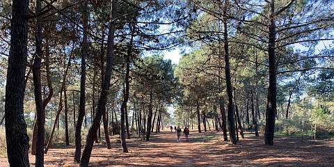 49: IMG_0243<br>  2019-01-09