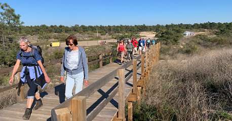 50: IMG_0244<br>  2019-01-09