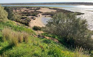 54: IMG_0251<br>  2019-01-10