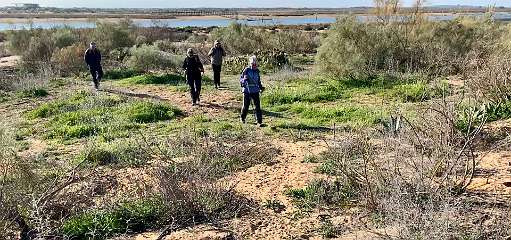 55: IMG_0252<br>  2019-01-10