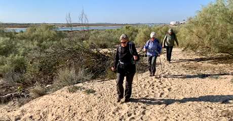 56: IMG_0253<br>  2019-01-10