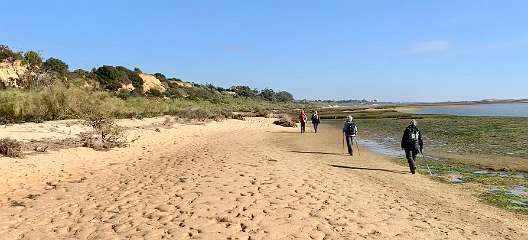 57: IMG_0254<br>  2019-01-10