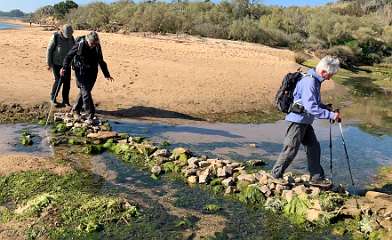 59: IMG_0267<br>  2019-01-10