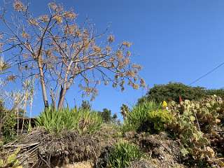 61: IMG_0270<br>  2019-01-10